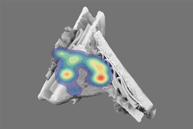 サンドイッチをアイトラッキングで計測した際のヒートマップ