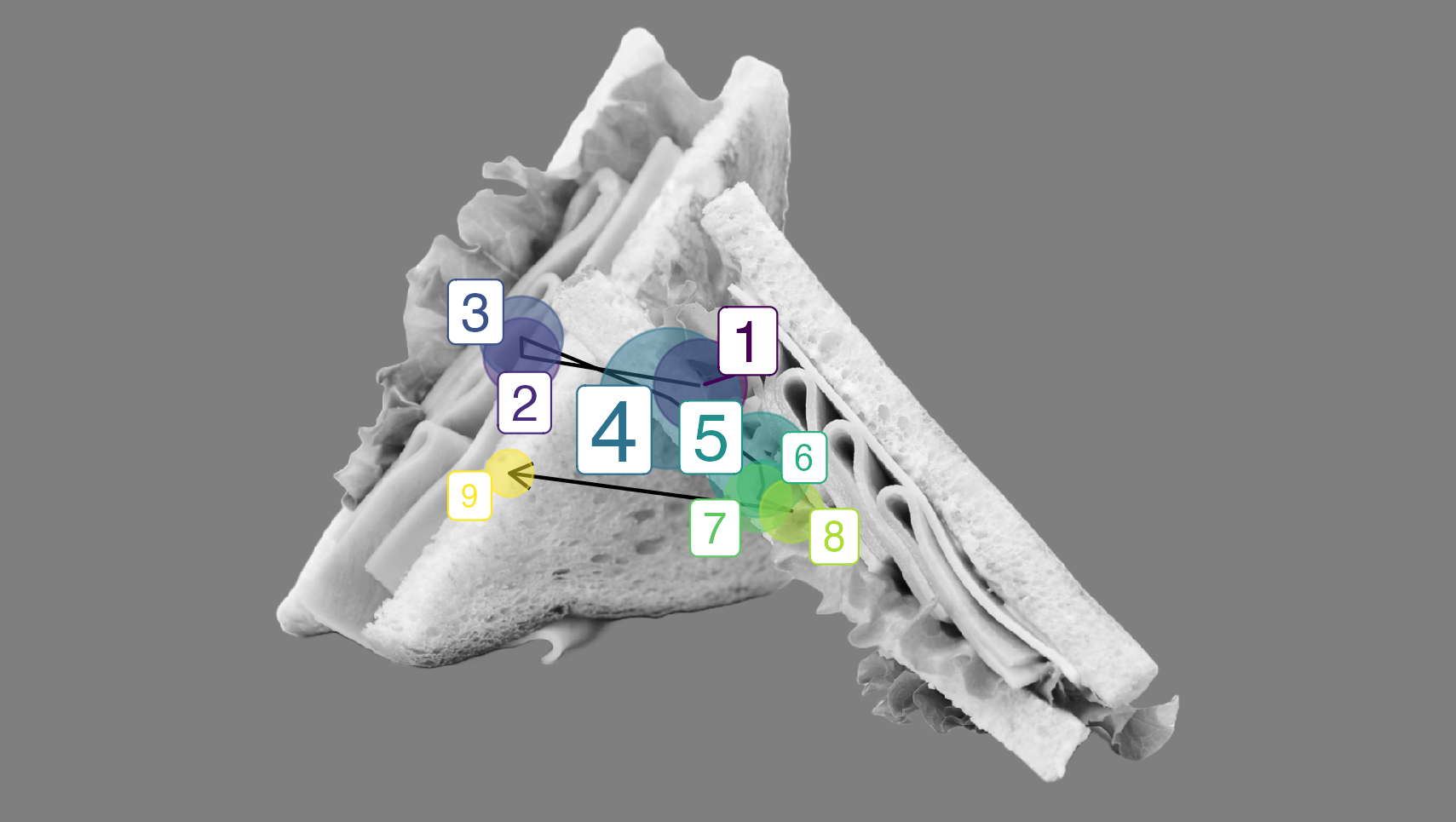 ゲイズプロット